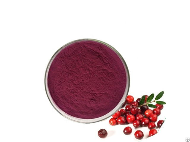 Cranberry Extract Powder 5 Pct  10 Pct  25 Pct  Proanthocyanidins And Anthocyanins