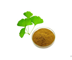 Natural 24 Pct  Flavonoids 6 Pct  Lactones Ginkgo Biloba Leaf Extract Powder