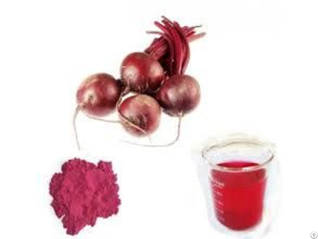 Red Beet Extract Powder