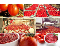 Tomato Sauce Manufacturing Plant Cost