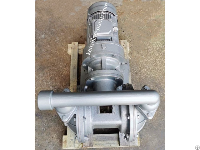 Electric Double Diaphragm Transfer Pump