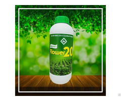 Flower 20 Plant Growth Promoter