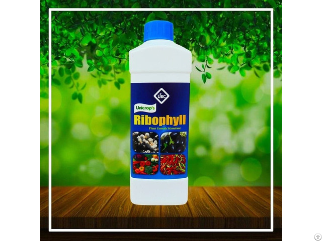 Ribophyll Plant Growth Promoter