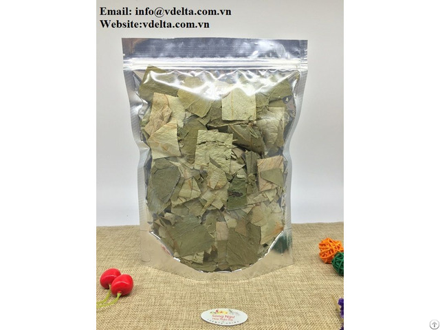 Dried Lotus Leaf Wholesale High Quality