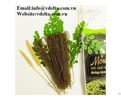 Organic Moringa Rice Noodles Vietnam Origin