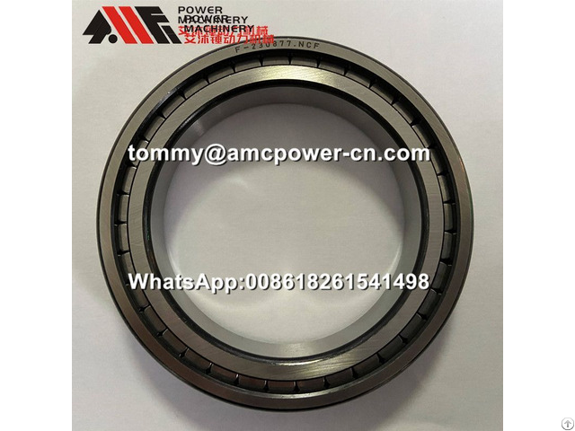 F 230877 04 Hydraulic Pump Bearing