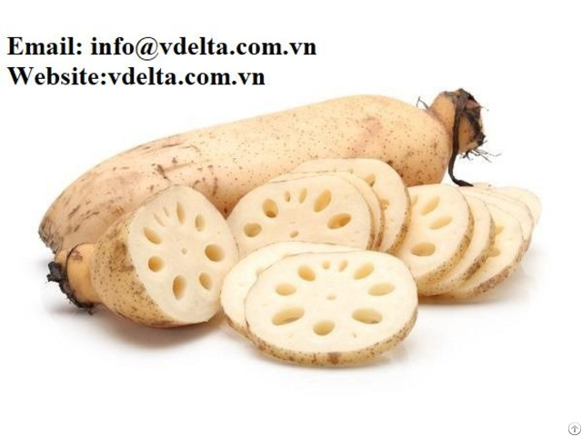 Frozen Sliced Lotus Roots