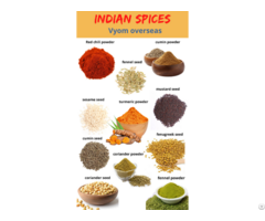 Buy Wholesale Indian Spices From Vyom Overseas