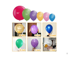 Latex Balloon 10 Inch