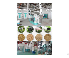 Poultry Feed Pellet Mill Machine Feeding Pig With Pellets