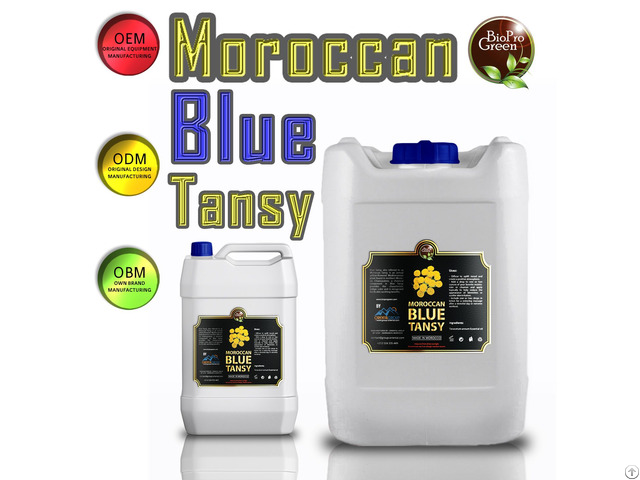 Moroccan Blue Tansy Essential Oil