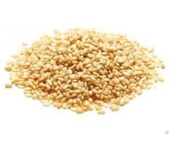 Sortex Sesame Seeds Product