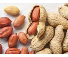 Sudanese Kernel Peanuts