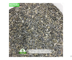 China Green Tea Chunmee 9371 9366 9368 9369
