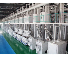 Rice Mill Plant 300t D