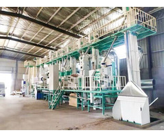 Rice Mill Plant 100t D