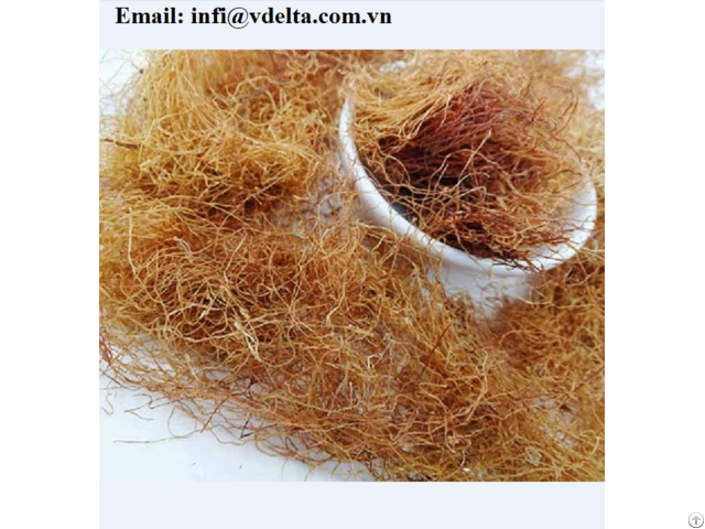 High Quality Dried Corn Silk For Herbal Tea And Beverage