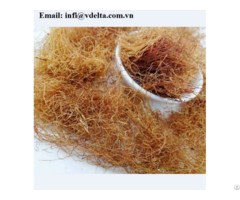 High Quality Dried Corn Silk For Herbal Tea And Beverage