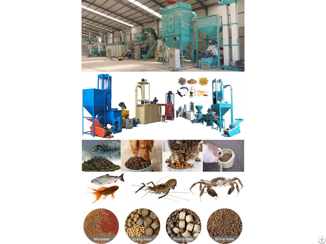 Fish Feed Pellet Extruder Machine For Aquaculture