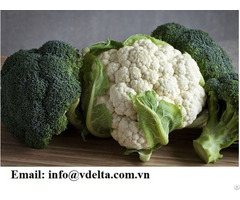 We Have Good Price Broccoli Salad Vegetables