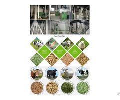 Animal Feed Production Equipment Start A Pellet Plant