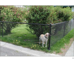 Chain Link Pet Mesh Panels For Run Fencing And Dog Kennels