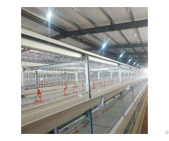 Broiler Chicken Cage