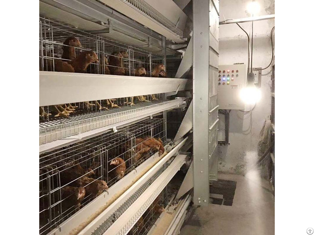 H Type Chicken Layer Cage