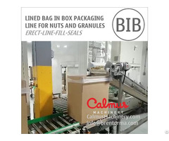 Bag In Box Forming Filling And Sealing Line For Packaging Granules