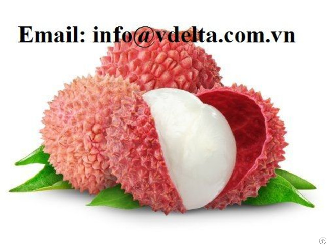 Fresh Lychee Fruit From Vietnam