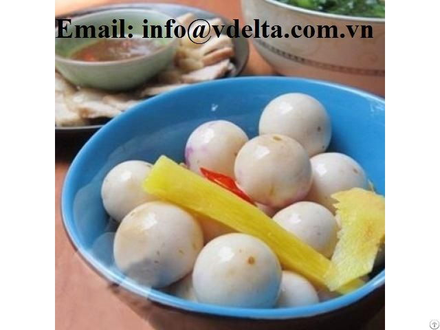 Preserved Egg Plant Pickled Vegetable Origin Vietnam