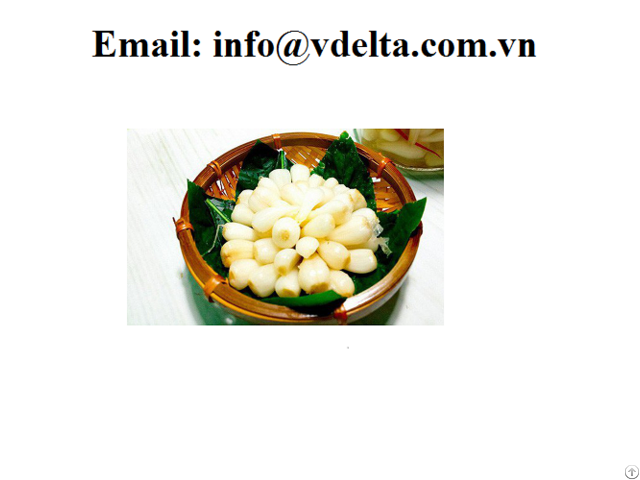 Vietnam Pickled Leeks Scallion Preserved Food Best Taste