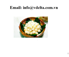 Vietnam Pickled Leeks Scallion Preserved Food Best Taste