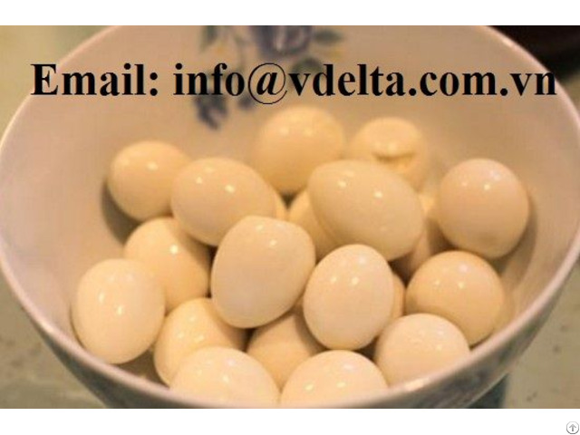 Canned Boiled Quail Eggs Without Shell