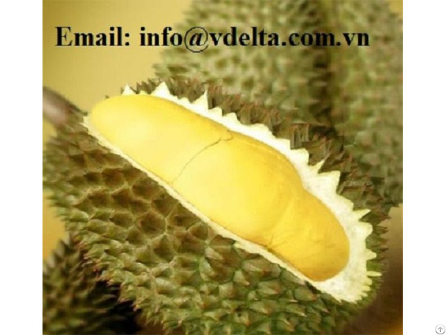 Frozen Durian From Vietnam