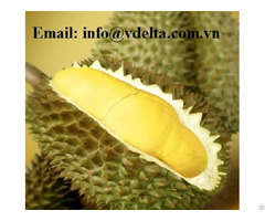 Frozen Durian From Vietnam