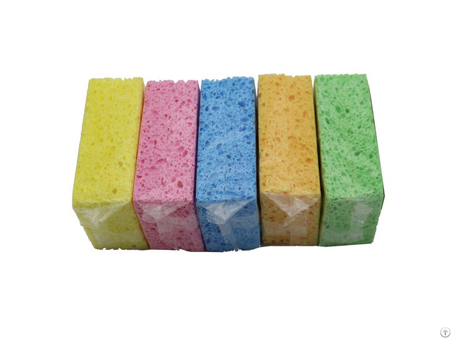 Lignocellulosic Sponge