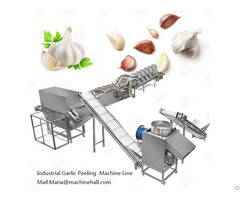 Commercial Use Garlic Peeling Process Machine Line 8618537181327