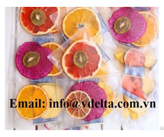 Viet Nam Dried Fruit Detox At Best Price