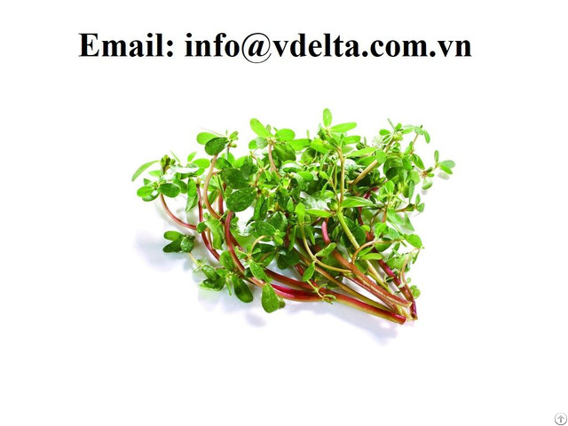 Dried Organic Purslane