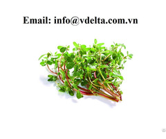 Dried Organic Purslane