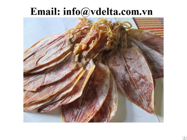 Hight Quality Dried Cuttlefish From Vietnam