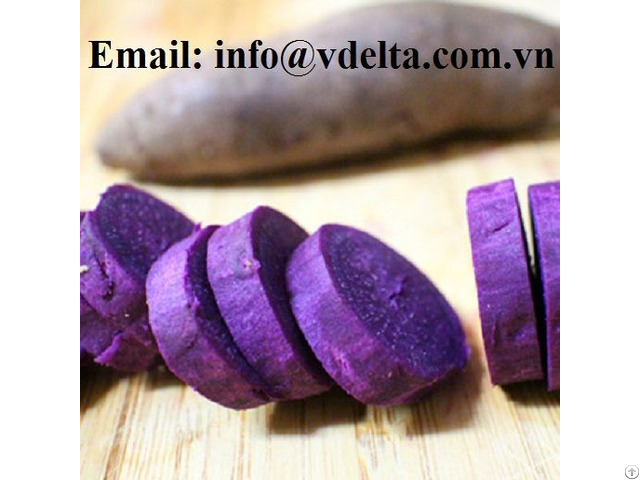 Purple Sweet Potato From Viet Nam