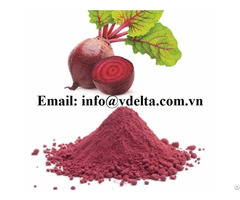 Vietnam Beetroot Powder 100% Organic Beet
