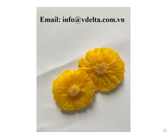 Hot Selling Dried Tropical Fruits From Vietnam