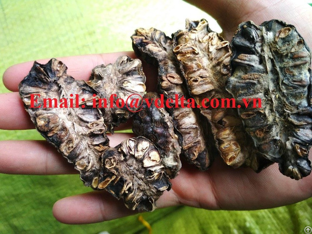Hight Quality Dried Noni Fruit
