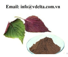 Natural Pure Fructus Perillae Plant Extract 10 1 Perilla Seed Powder