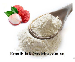 Hight Quality Litchi Powder From Vietnam