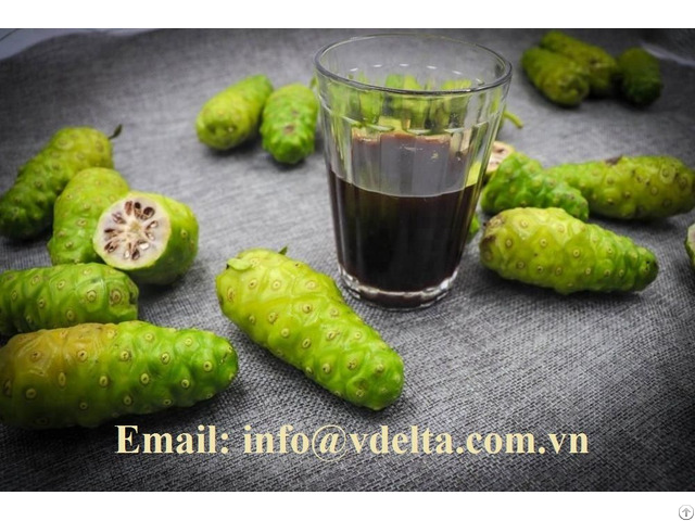 Noni Juice Fruit Extract