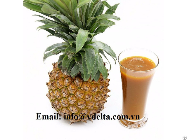 Organic Pineapple Juice Concentrate No Additives